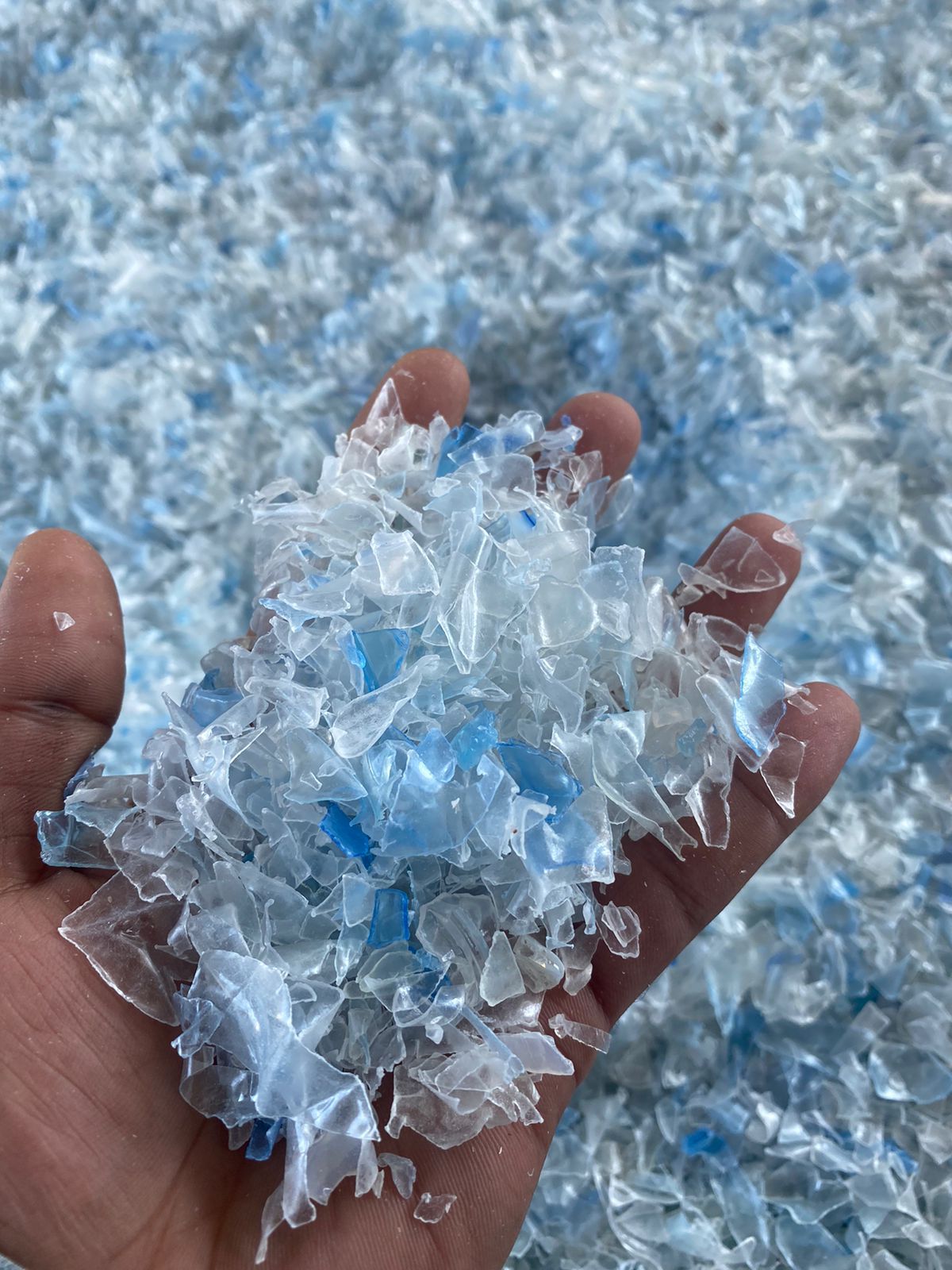 Imagen de WhatsApp 2024-11-12 a las 25.21.57